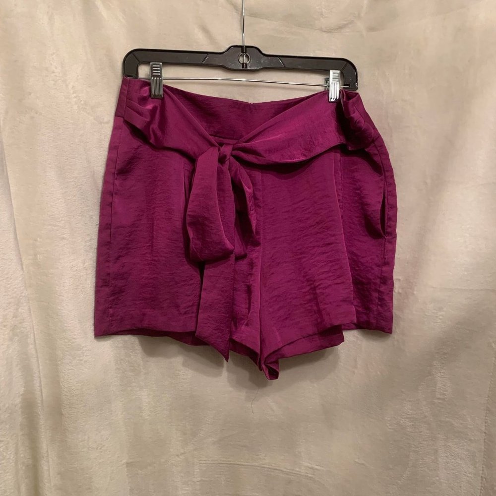 EUC Bisou Bisou Purple Satin Look Shorts Size 12